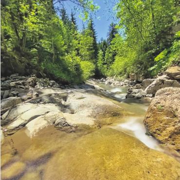 Ein Sommertag im Abländschner Tal - FOTOS: STEFAN STREIT, BREMGARTEN