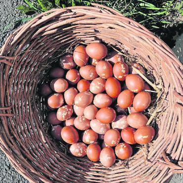 Der jüngste Abländschner wurde an Ostern getauft - Ostereier zum Tütschen.