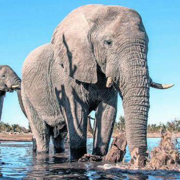 Da hinreisen, wovon andere träumen – individuelle oder geführte Reisen ins südliche Afrika - Draussen wild und weit, drinnen komfortabel bis luxuriös – je nach Vorliebe.
