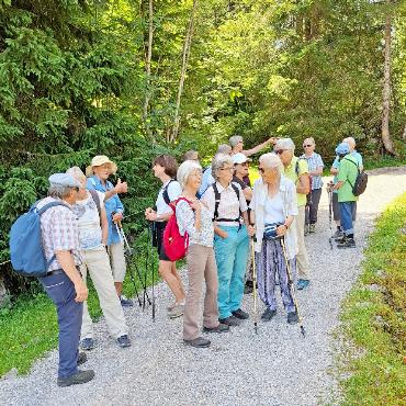 Seniorenwanderung vom Lauenensee nach Lauenen - Ein Schattenplatz bietet sich für eine kurze Pause an. FOTOS: UELI MÜLLER