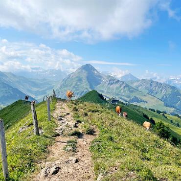 Pure Summer Sale - Im Pure Snowboard Shop profitieren Sie bis zum 15. September von attraktiven Aktionen. FOTO: ZVG