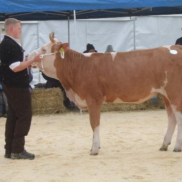 Ein guter Grund zum Feiern – die 10. Rinderexpo Saanenland