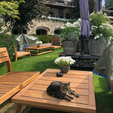 Die unglaubliche Geschichte des bekannten Bahnhofskätzlis - Tigi hatte im Grand Hotel Park ihr zweites Zuhause.   Foto: Micheline Aebersold-Golay