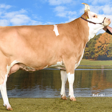 Das Saanenland holt sich zwei Misstitel, einen Supreme-Championtitel und elf Podestplätze - Amarone Elina von Stephan und Jonathan Perreten. (Foto: KeLeKi)