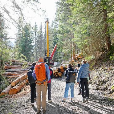 Erfordert Klimawandel den Umbau des Waldes? - Werden Nadelbäume im Saanenland bald weniger?
FOTOS: PAULA MITTAG