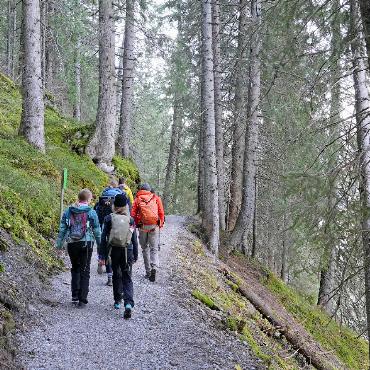 Erfordert Klimawandel den Umbau des Waldes? - Ein Spaziergang durch den noch von Nadelbäumen besetzten Wald.