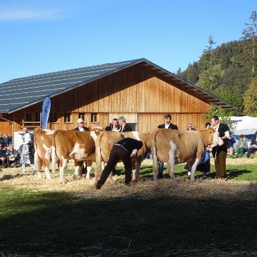 Die Topschau in Bildern
