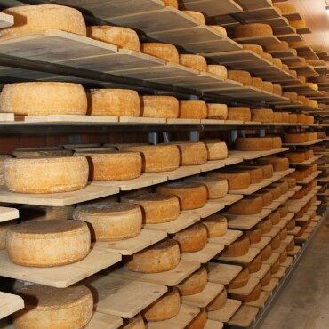 US-Käsezoll könnte für volle Lager sorgen - Wird zuwenig Käse exportiert, bliebt er in den Lagern liegen und drückt auf die Preise. (Symbolbild: Unsplash)