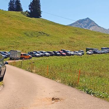 45. Viehsteigerung auf dem Hornberg - Der Hornbergparkplatz war voll besetzt. FOTO: RUTH ANNEN