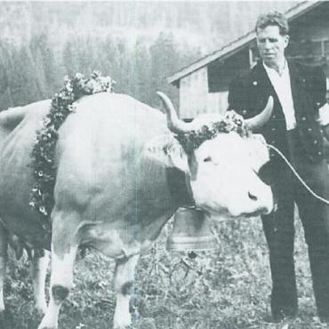 Mehr als 100 Jahre Viehzucht im Gsteig – ein Rückblick - Freudi von Walter und Kaspar Brand schaffte es auf das Schoggipapier von Camille Bloch. FOTOS: ZVG