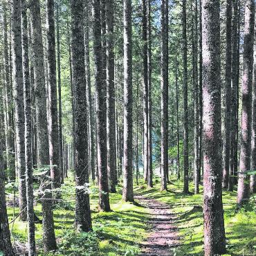 IMPRESSIONEN VOM LAUENENSEE - FOTOS: VERENA REICHENBACH, WIEDLISBACH