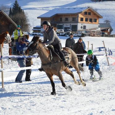 Mit Pferd und Ski um die Wette fahren