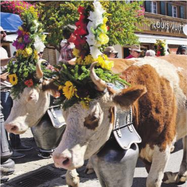 Jahresrückblick 2025 – Kultur, Gesellschaft und Umwelt: Zusammenhalt, Wandel und kulturelle Strahlkraft - Die Gstaad Züglete führt schon seit zehn Jahren durch die Gstaader Promenade. FOTO: PAULA MITTAG