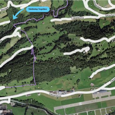 Bergmolche, Frösche, Kröten und Libellen dürfen nun einziehen - Die Lage des Waldbiotops Tragslibon an der Grenze (violet) zwischen den Kantonen Waadt und Bern. Ob es dereinst eine Signalisation dahin geben wird und wie diese aussehen könnte, ist noch unklar. KARTENAUSSCHNITT: GEO.ADMIN.CH