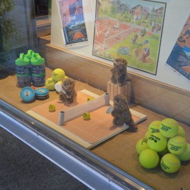 Murmeli-Tennis im Schaufenster gewinnt