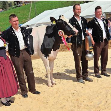 Nachwuchs glänzt an der Viehschau - Miss Red Holstein/Holstein von Viktor Reber, Zweisimmen.