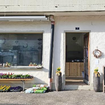 Neuer Blumenladen in Lauenen feierte Eröffnung - Der neue Blumenladen in der Lauenen. FOTO: ZVG