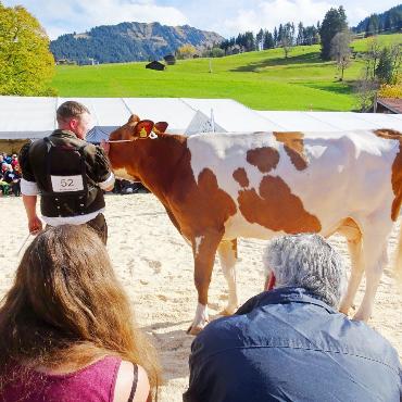 Auf Juvenias Spuren an die Topschau