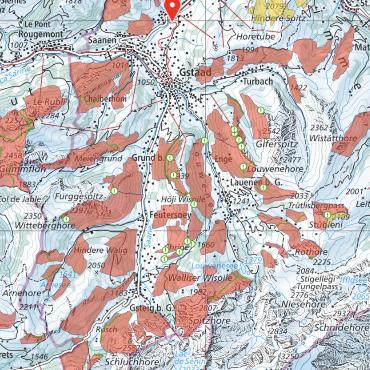Wertvoll oder weit hergeholt? Uneinigkeiten über alpine «No-Zones» - Darstellung der bereits vorhandenen Wildschutzgebiete und Wildruhezonen im Saanenland. KARTENAUSSCHNITT: GEO.ADMIN.CH