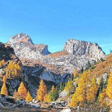 LESERBILDER - Herbsttag oberhalb Gsteig. FOTO: FIONA ROMANG, FEUTERSOEY