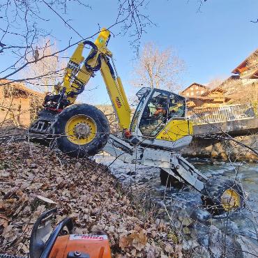 Wegen Baumkrankheiten und Hochwasser: An der Saane wird gesägt - Die Schwellenkorporation der Gemeinde Saanen greift punktuell in die Ufervegetation ein – hier beim Louibach in Gstaad.   FOTO: ZVG