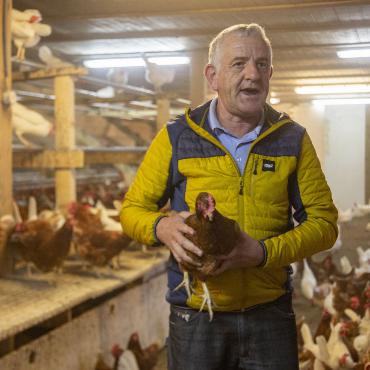 Glückliches Huhn, leckeres Ei