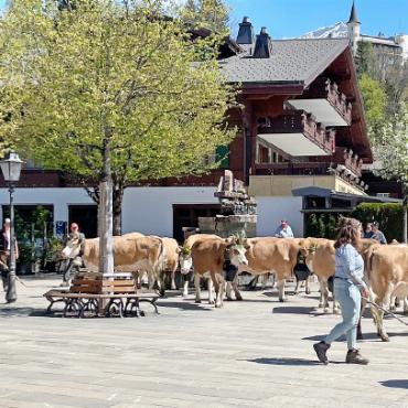 Die «Zügelsaison» hat begonnen - Kurze Pause beim Kapälliplatz.