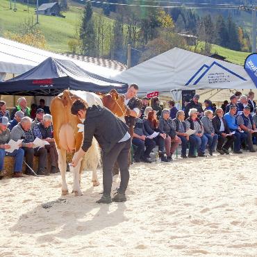 Auf Juvenias Spuren an die Topschau