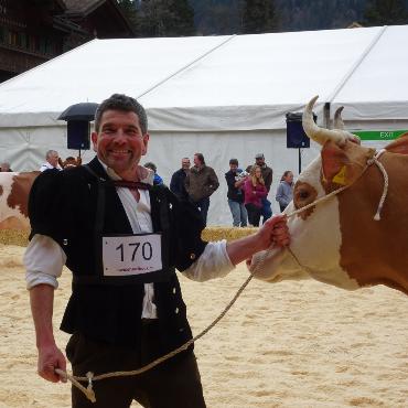 Starke Simmentaler, ausgeglichenes Swiss Fleckvieh und Top-Red-Holstein- und Holsteinkühe