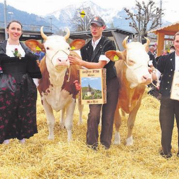 Jubiläum: 130 Jahre Viehzuchtgenossenschaft Saanen - Die Siegerinnen bei den Rindern, umrahmt von Ehrendamen. Von links: Cornelia Herrmann, Pia, die Rindermiss, Björn Burri, Martin Trachsels Blueme, die Vizemiss, geführt von Mathias Reichenbach, Gaby Stalder.