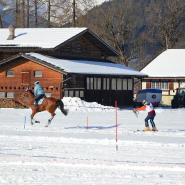 Mit Pferd und Ski um die Wette fahren