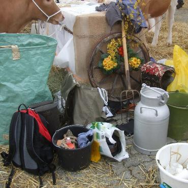 Starke Simmentaler, ausgeglichenes Swiss Fleckvieh und Top-Red-Holstein- und Holsteinkühe