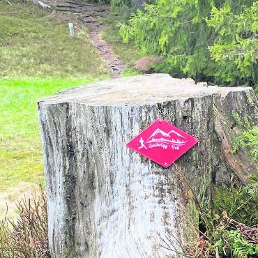 Neue Trailrunningrunde Hundsrügg-Trail - Der Hundsrügg-Trail ist mit roten Wegweisern beschildert und nutzt bestehende Wege. FOTOS: MATTHIAS KURT