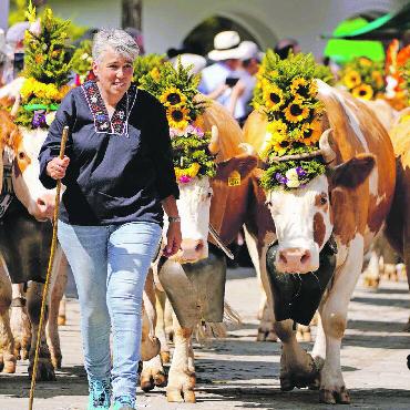 «Kuhlness» in Gstaad - Mensch und Tier im Gleichschritt.