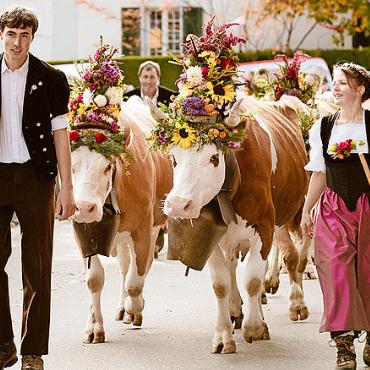 Älplerfest Lenk – gelebtes Brauchtum und Tradition mit Charme - Älplerfest Lenk – ein Wochenende voller lebendiger Tradition, Genuss und unverwechselbarem Alpencharme. FOTO: ZVG