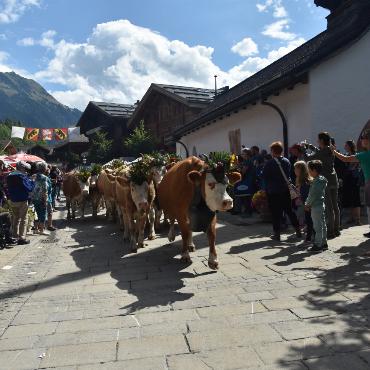 Gstaad Züglete 2022 – ein Erlebnis in jeder Hinsicht