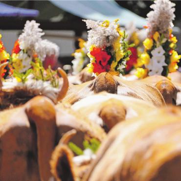 «Kuhlness» in Gstaad - Schöne Rücken können auch entzücken.