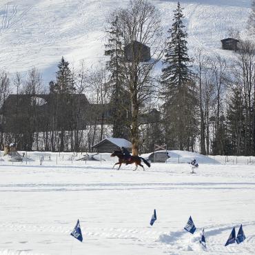 Mit Pferd und Ski um die Wette fahren