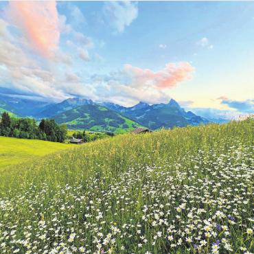 LESERBILDER - Pfingstliche Abendstimmung über dem Saanenland. FOTO: RENE PIEREN, ZWEISIMMEN