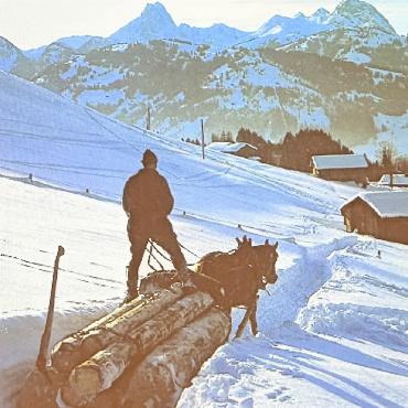 Unsere Einzigartigkeit bewahren - Das Pferd arbeitete hart, um die Trämel ins Tal zu ziehen.
