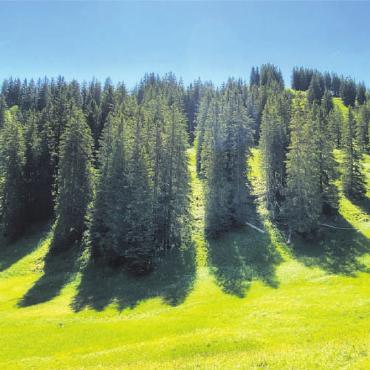 Ein Sommertag im Abländschner Tal