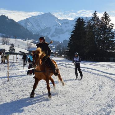 Mit Pferd und Ski um die Wette fahren