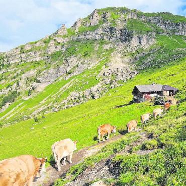Dankbar für unversehrte Heimkehr - Alp Meiel: für acht Wochen das Daheim für Möschings und ihre Tiere. FOTO: ZVG