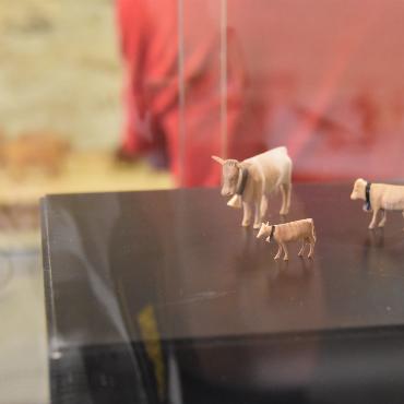 «Vehschau» im Museum