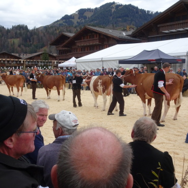 Die Topschau – zum 21. Mal  immer noch  hoch im Kurs - Die Sitzplätze mit guter Sicht auf den Ring  waren bald einmal besetzt.  (Fotos: AvS)
