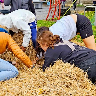Erneute Vorfreude aufs Herbstfest 2025 - Die Nadel im Heuhaufen in Form von Puzzle im Strohhaufen! FOTO: ZVG
