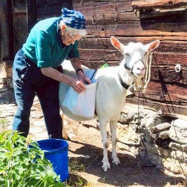 Elsy und Sissi: zwei, die sich gut verstehen - FOTO: ZVG