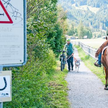 «Langsam fahren, Abstand wahren» - Ein kurzgehaltener Hund erleichtert die Begegnung mit einem Pferd.
