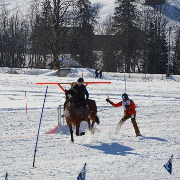 Mit Pferd und Ski um die Wette fahren