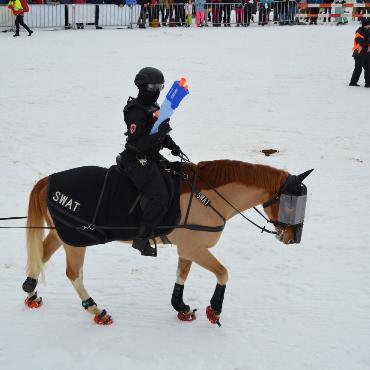 Mit Pferd und Ski um die Wette fahren